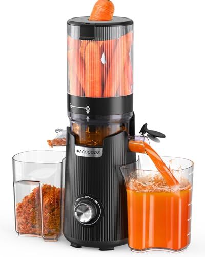 Juicer blender