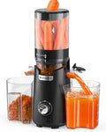 Juicer blender