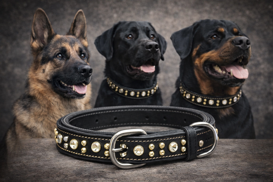 TRZ Mart Premium Studded Leather Dog Collar